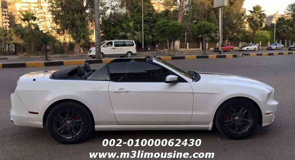 إيجار فورد موستنج المكشوفة 2017 2018 إيجار فورد موستنج المكشوفة 2017 2018